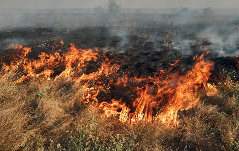 У одному з обласних міст повітря наповнене ароматом диму: що стало причиною?