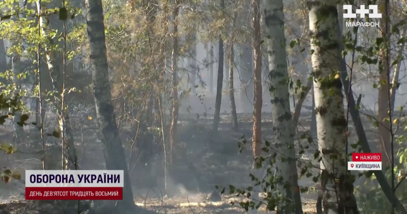 Великі лісові пожежі на Київщині: яка тепер ситуація та чи стало повітря у столиці кращим.