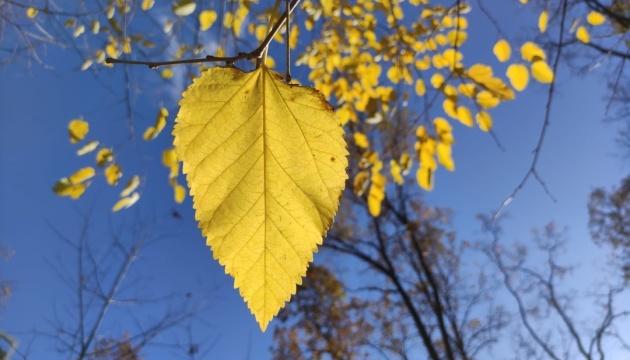 10 жовтня у Харкові було зафіксовано новий температурний рекорд, що перевищив 23° тепла.