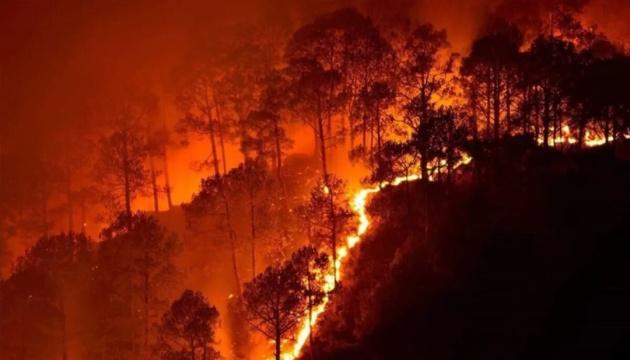 У Каліфорнії спостерігається велика лісова пожежа, внаслідок якої евакуювали більше 10 тисяч осіб.